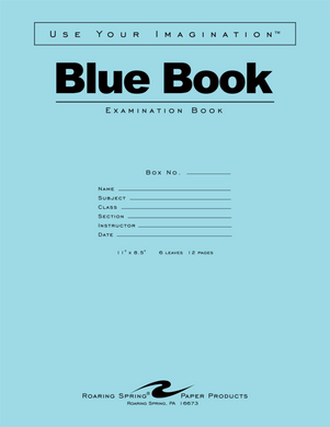 Blue Exam Book, 11