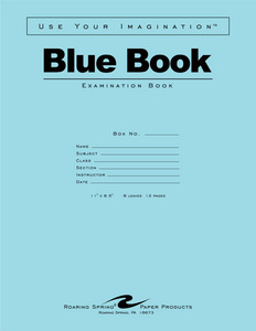 Blue Exam Book, 11