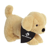 Aurora Eco Nation | Lab