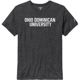 Victory Falls Tee | Varsity Slate